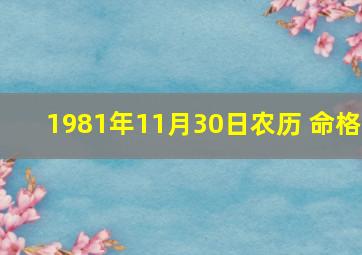 1981年11月30日农历 命格